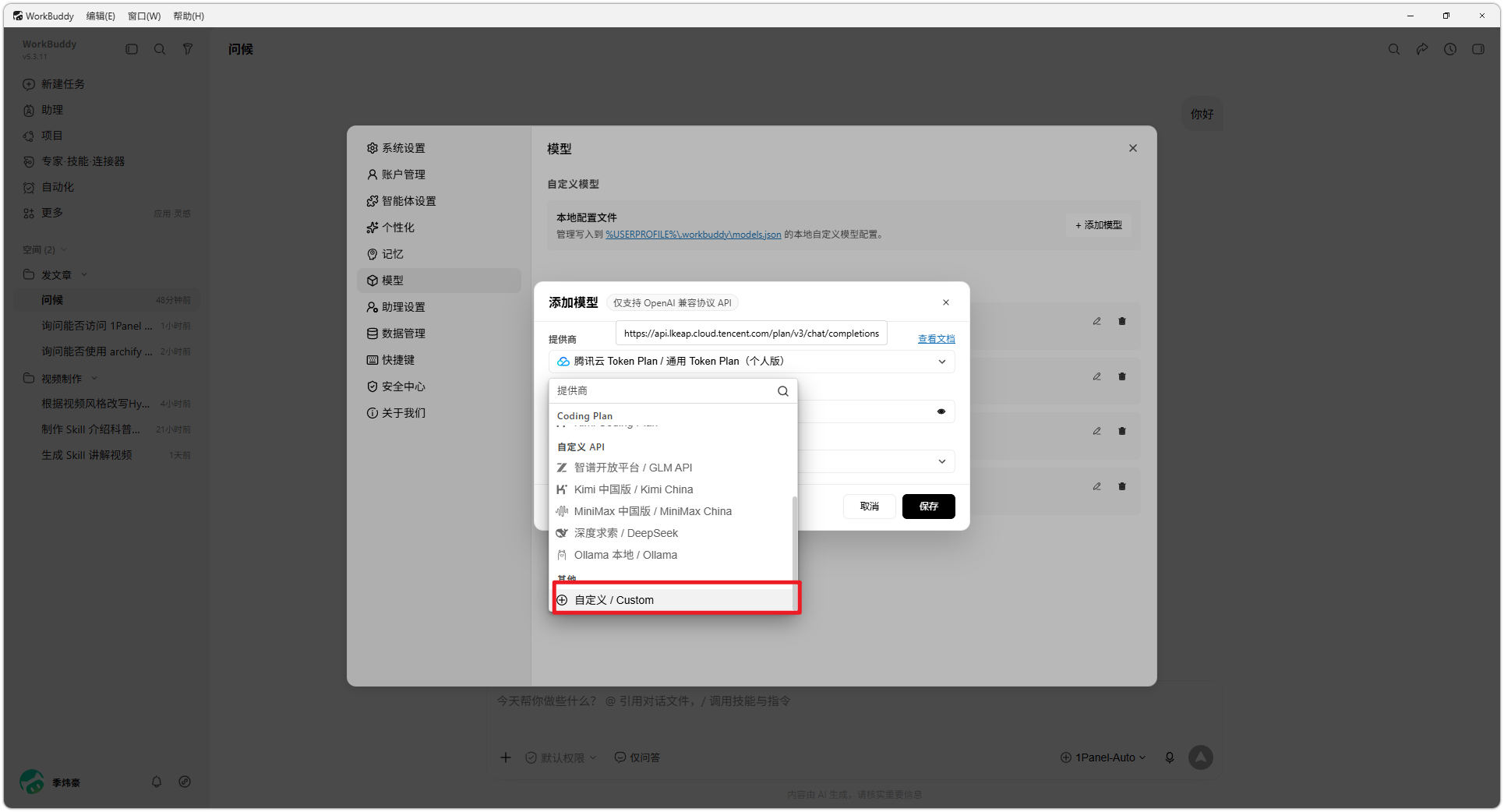 图 21  选择自定义提供商