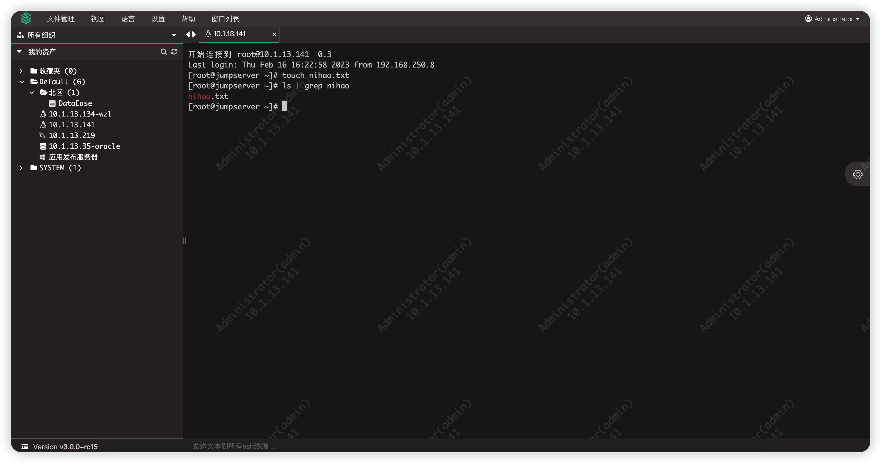 web_terminal05