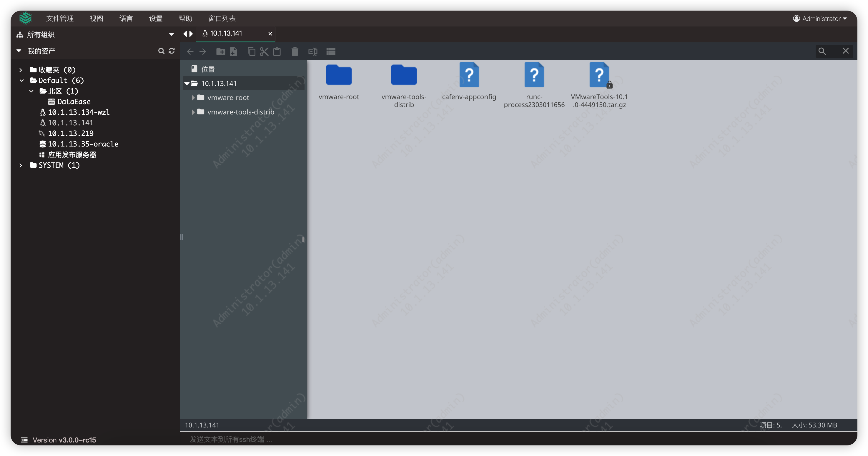 web_terminal06