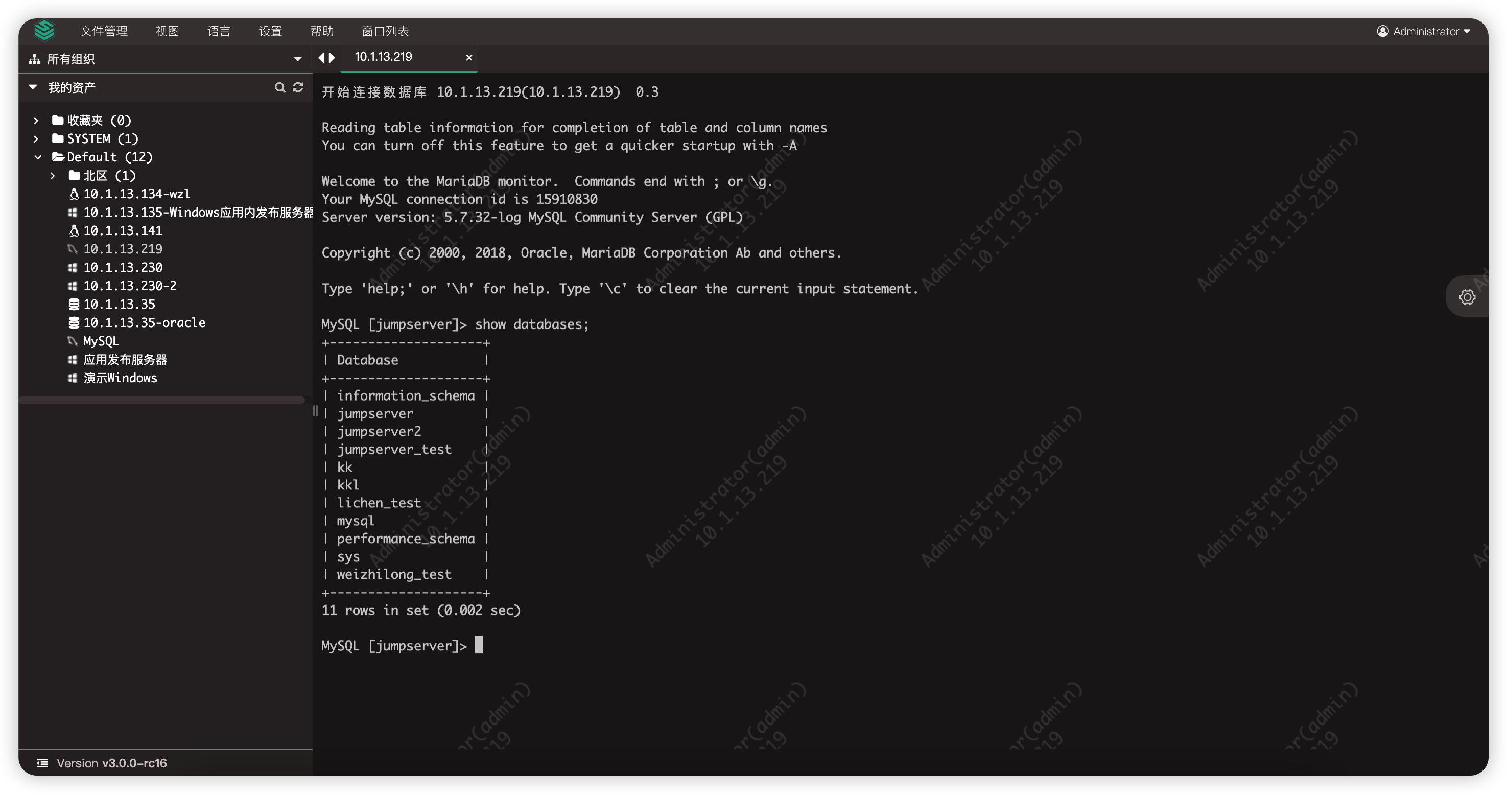 web_terminal10