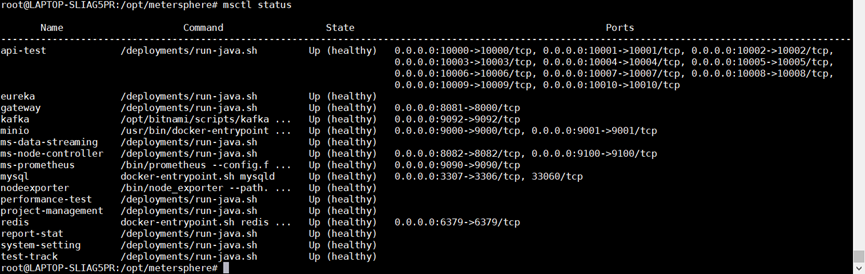 安装MeterSphere